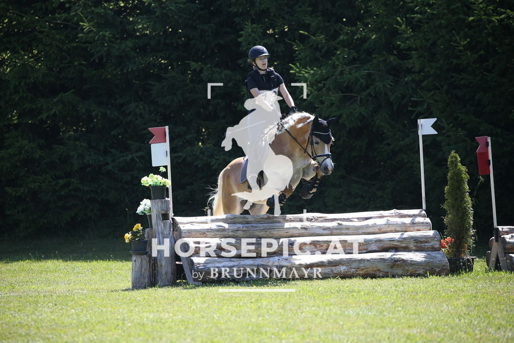 DL2Q0168 | Willkommen bei Brunnmayr - Design & Fotografie – Ihrem Spezialisten für Reitturniere und Pferdeveranstaltungen in Oberösterreich, Salzburg und Bayern! Seit über 17 Jahren sind wir leidenschaftlich dabei.