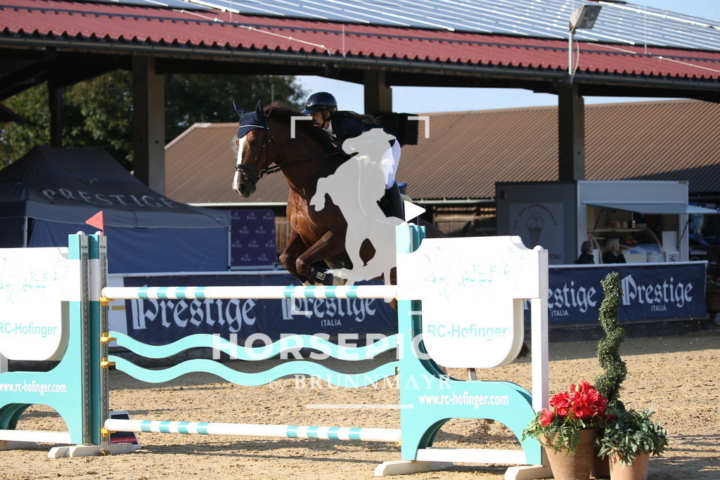 DL2Q5607 | Willkommen bei Brunnmayr - Design & Fotografie – Ihrem Spezialisten für Reitturniere und Pferdeveranstaltungen in Oberösterreich, Salzburg und Bayern! Seit über 17 Jahren sind wir leidenschaftlich dabei.