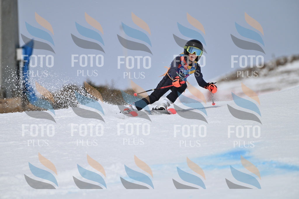 BGV_4225 | holidayphoto