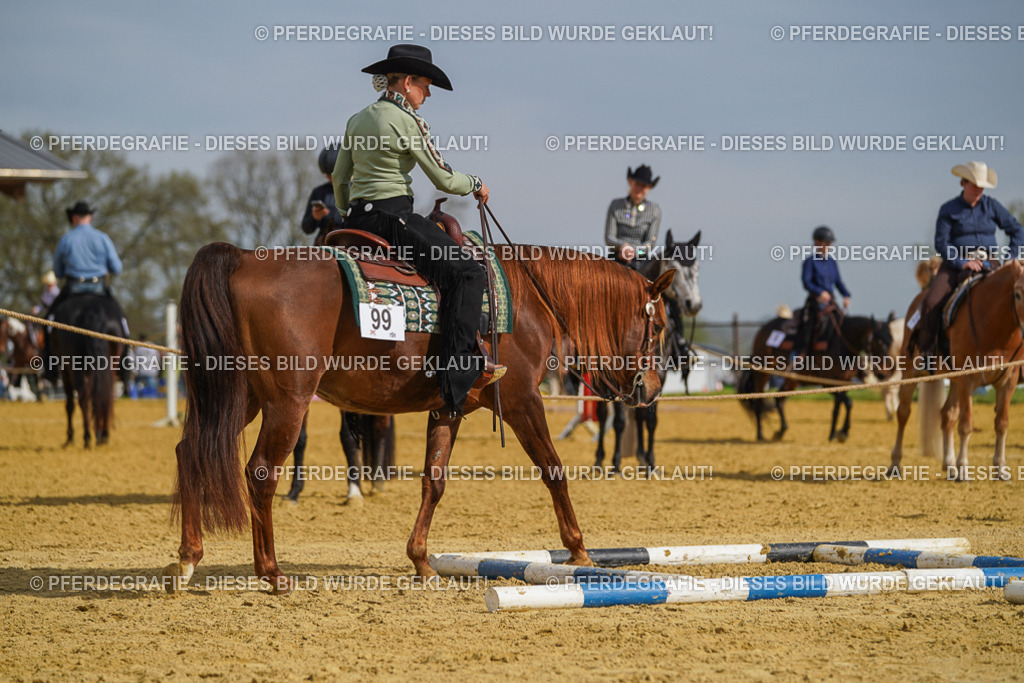 DSC01784 | Pferdegrafie