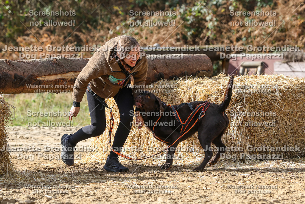 Dog Paparazzi - Strongdog 10-25-5692 | Dog Paparazzi Jeanette Grottendiek Fotografie & Videografie - Realisiert mit Pictrs.com