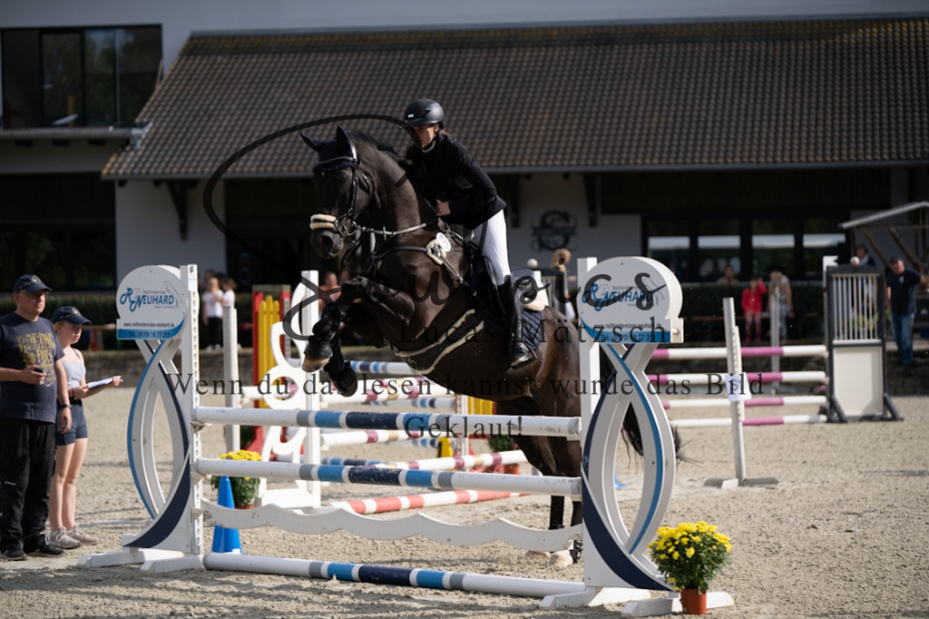 A7V07745 | Turnier/Reitfotograf