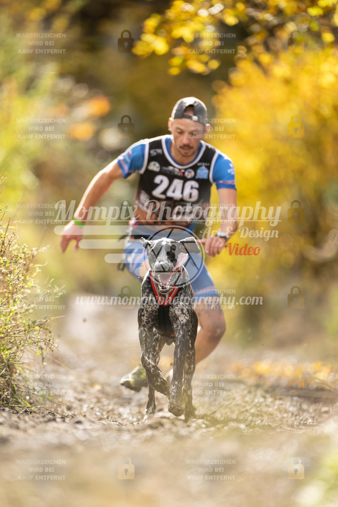 MompixPhotography_ICF_WC_2024_SA_Run_-33 | PayLife