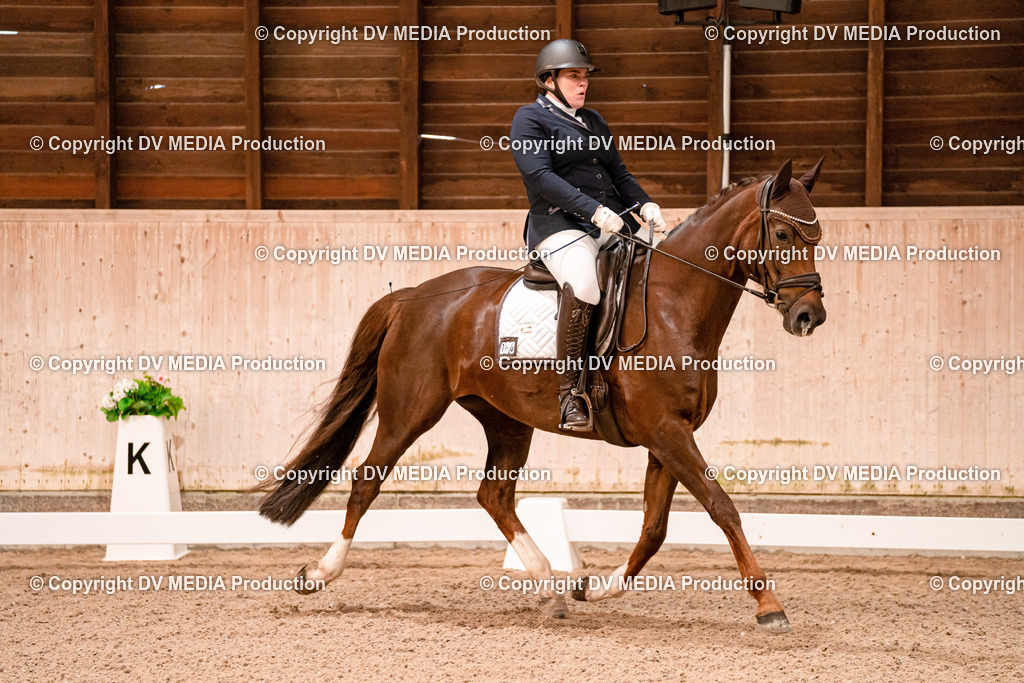 Dressur Tag 2-33 | dv-media-shop - Realisiert mit Pictrs.com