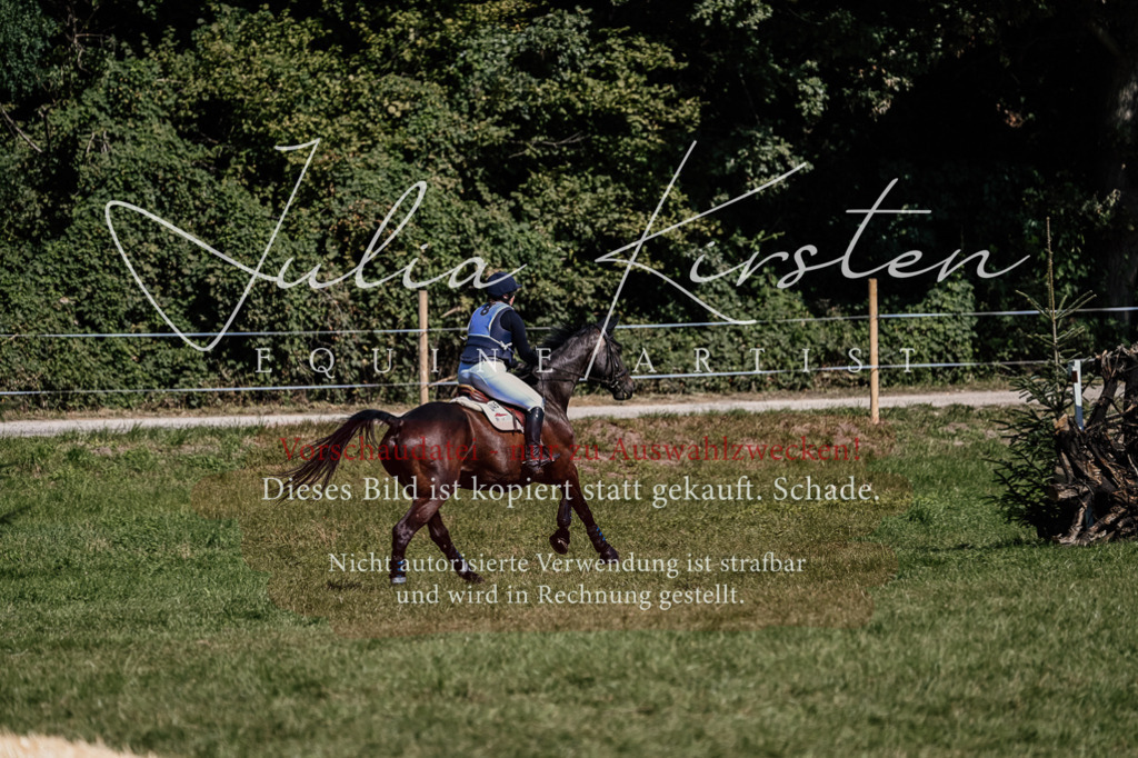 DSC_1625 | Pferde- und Turnierfotografie in Westsachsen. Pferdeportraits, Auftragszeichnungen und intuitive Kunst.