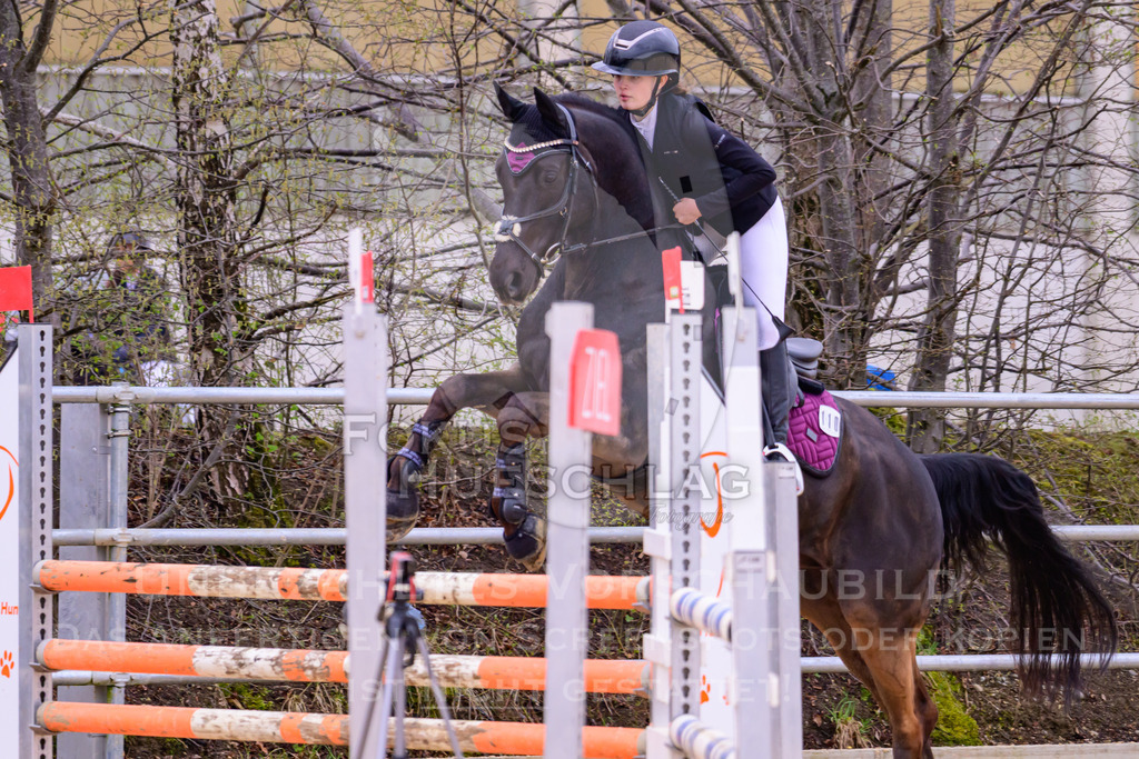 10042026-Mammendorf-Prfg17-0410 | Fokus Hufschlag Fotografie - Realisiert mit Pictrs.com