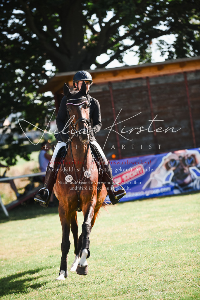 DSC_2369 | Pferde- und Turnierfotografie in Westsachsen. Pferdeportraits, Auftragszeichnungen und intuitive Kunst.