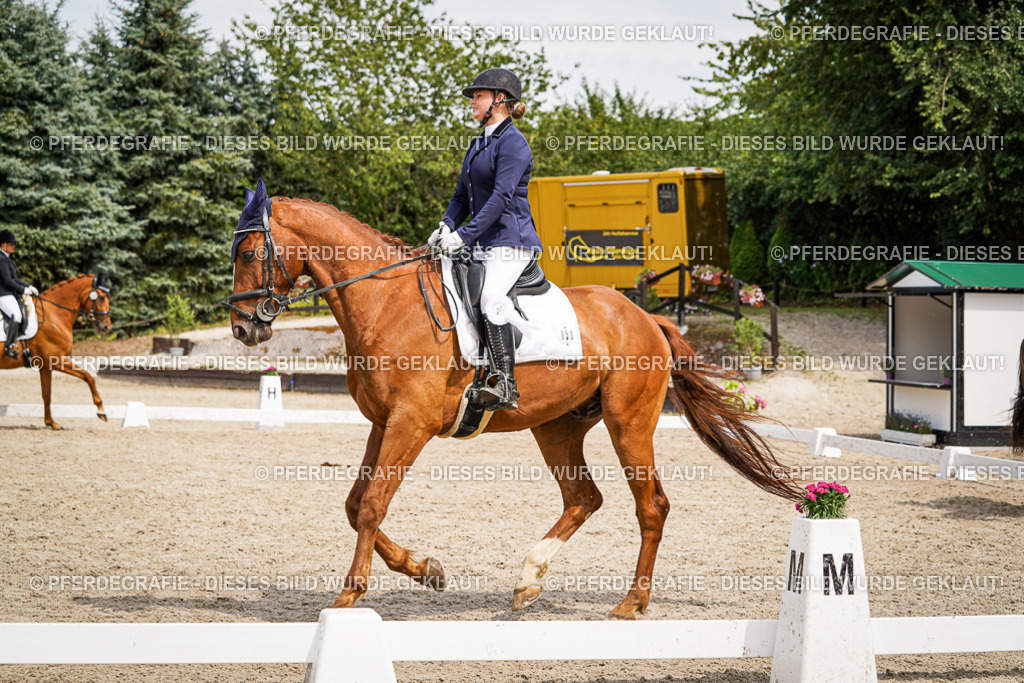 DSC04635 | Pferdegrafie