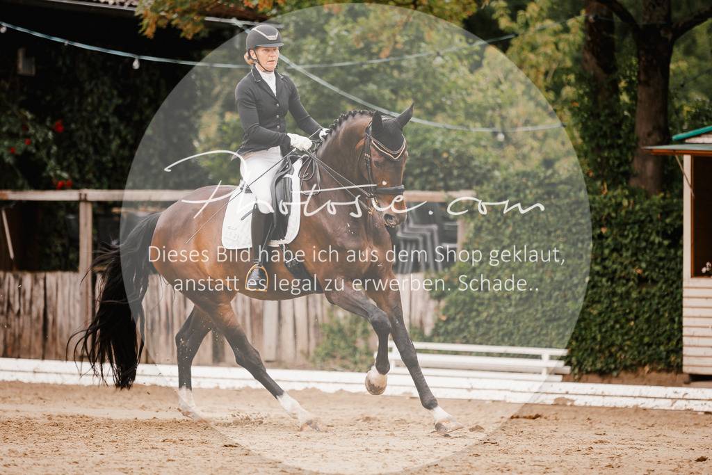 3I6A7830 | Stimmungsvolle Portraits und Reitsportfotografie im Ruhrgebiet und im Münsterland.

Pferdefotografie, Hundefotografie, Tierfotografie, Reportagen, Portraits von Tier und Mensch, Turnierfotografie in Bochum, Recklinghausen, Marl, Haltern am See, Dülmen.. - Realisiert mit Pictrs.com