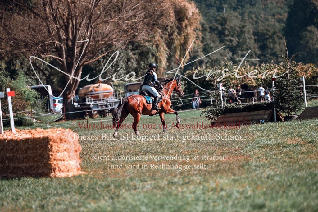 DSC_0735 | Pferde- und Turnierfotografie in Westsachsen. Pferdeportraits, Auftragszeichnungen und intuitive Kunst.