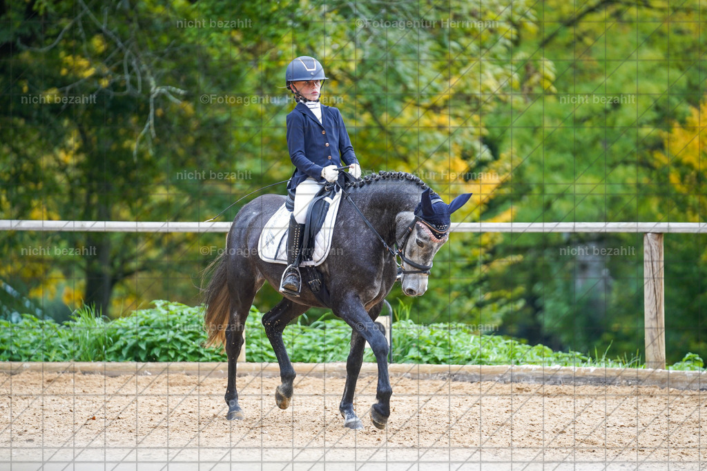 20221008-FAH00976 | Diessen am Ammersee, 2022, Dressur- und Springturnier, Reitsportbilder, Turnierfotografen Bayern, Pferdefotografen, Fotoagentur Herrmann, Turnierbilder