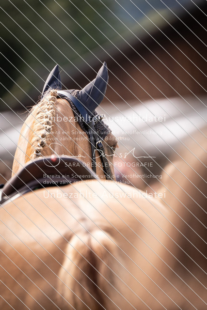 SD_OES26_07589 | saradresslerfotografie - Realisiert mit Pictrs.com