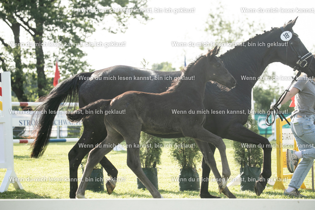 598A7324 | photographylinaismer - Realisiert mit Pictrs.com