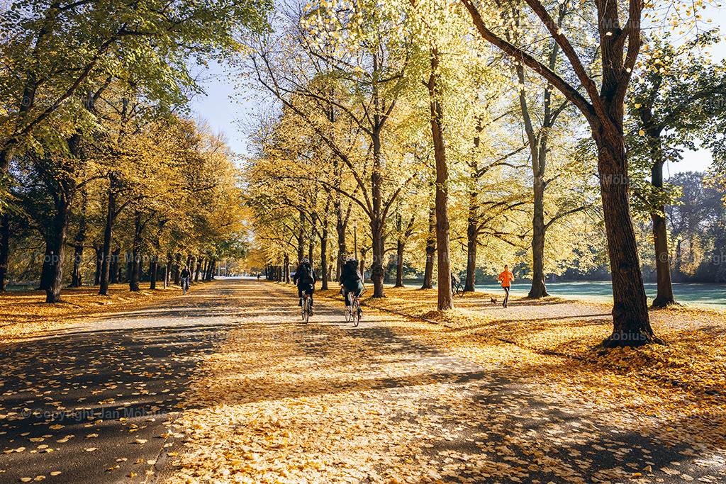 _DSC7230 | Leipzig Wandbilder Drucke Prints Leinwand Stadtmotive Leipzig Fotosdruck Kunstdrucke Bilder Leipzig Stadtansichten Acrylglasbilder Leipzig Wanddeko Fine Art Prints Wandbilder Büro Leipzig Bilder Praxis Zuhause Bilderdruck Poster Posterlounge Kunstdrucke - Realisiert mit Pictrs.com