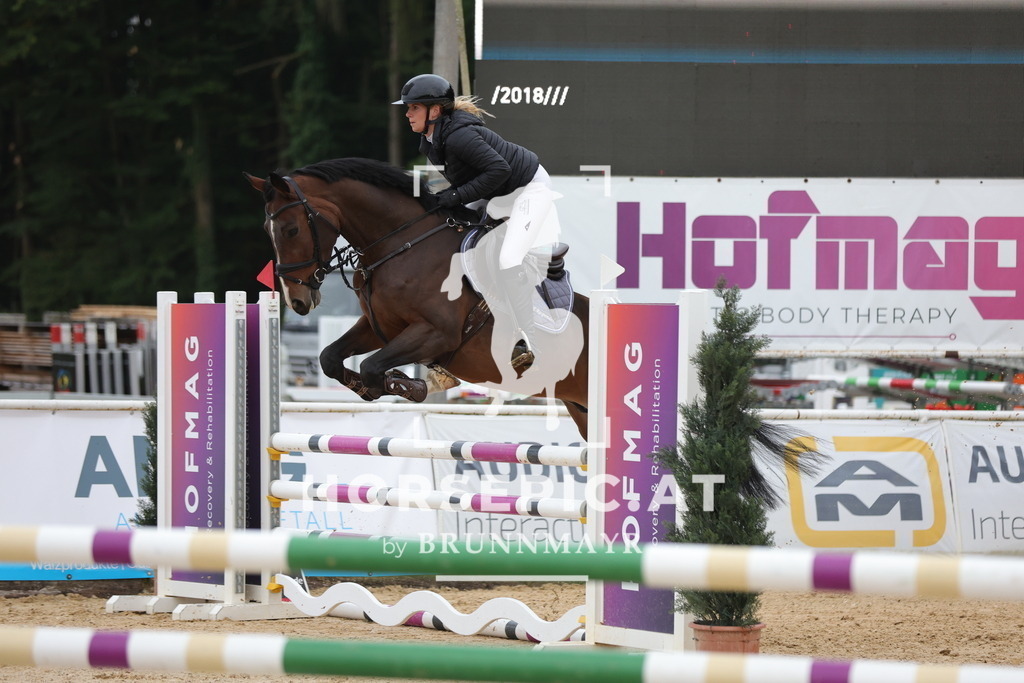 0P6A6053 | Willkommen bei Brunnmayr - Design & Fotografie – Ihrem Spezialisten für Reitturniere und Pferdeveranstaltungen in Oberösterreich, Salzburg und Bayern! Seit über 17 Jahren sind wir leidenschaftlich dabei.