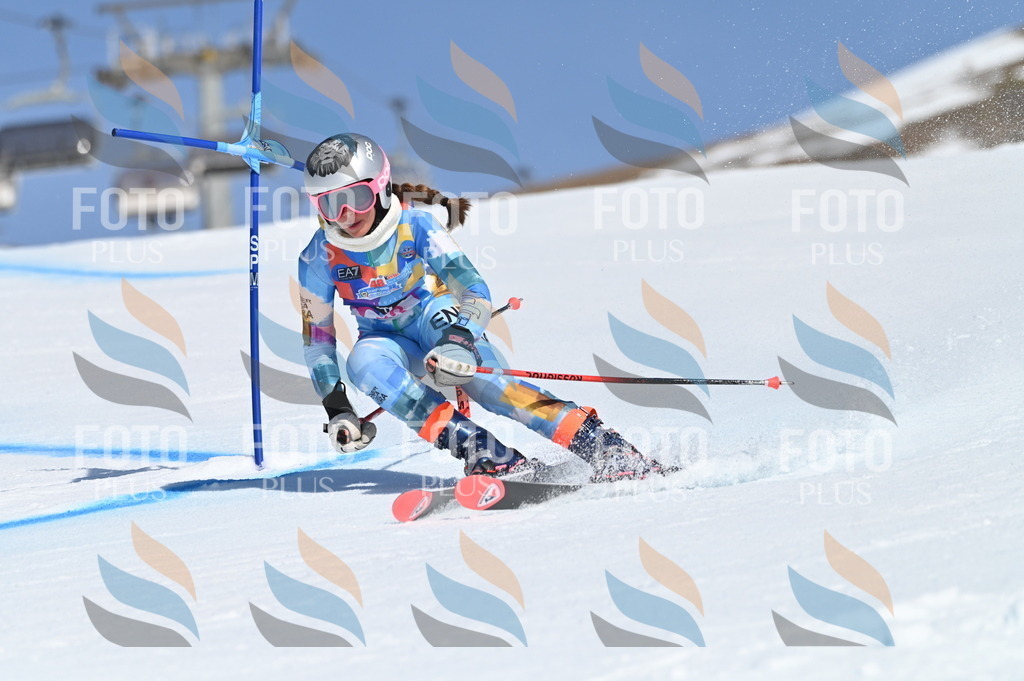 BGV_8689 | holidayphoto