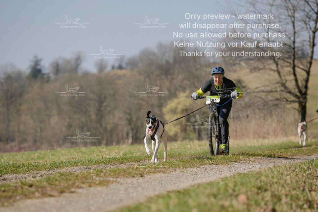 Scooter_Lang-135 | stephaniefillaphotographie - Realisiert mit Pictrs.com