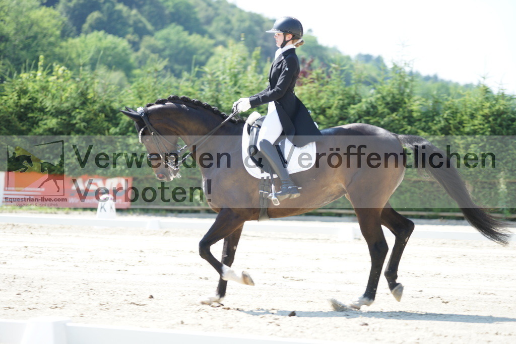 DSC02321 | equestrian-live-com