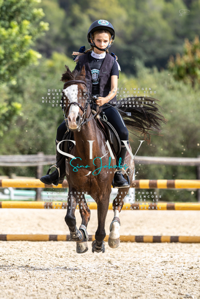 IMG_2717 | s-jay-photography - Realisiert mit Pictrs.com