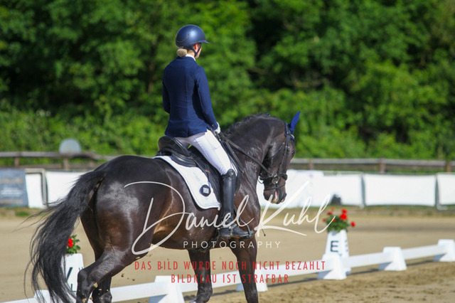 DKP45431 | Turniersportfotografie; Pferdefotografie; Dressurfotografie