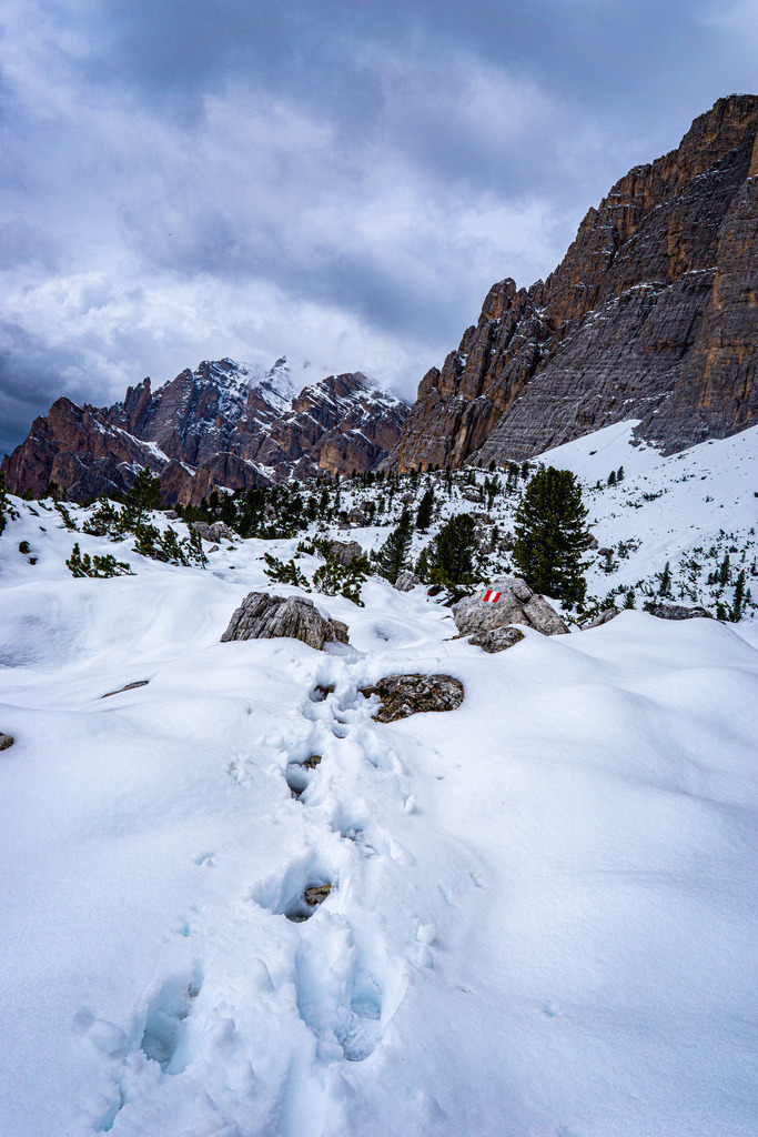 0023 | <meta name="keywords" content="Bergbilder, Hochzeitsfotografie, Actionshootings, Fotografiearbeiten, Berglandschaften, Naturfotografie">

 - Realisiert mit Pictrs.com