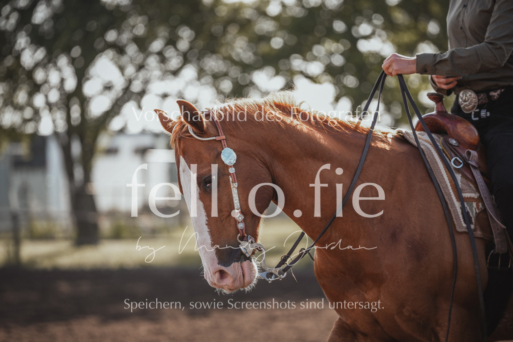 fell.o.fie_mandyjordan_2024_06_00546 | Mandy Klecke Fellfotografie, fell.o.fie Fotografenshop - Realisiert mit Pictrs.com