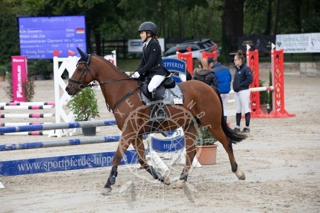 2B4A2321 | pixelfaenger - Realisiert mit Pictrs.com