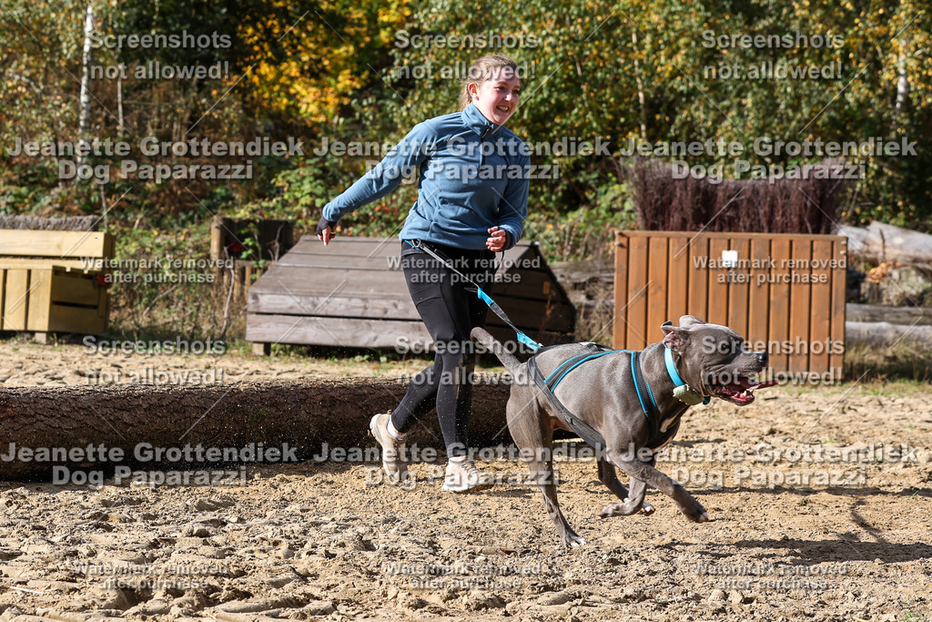 Dog Paparazzi - Strongdog 10-25-4989 | Dog Paparazzi Jeanette Grottendiek Fotografie & Videografie - Realisiert mit Pictrs.com