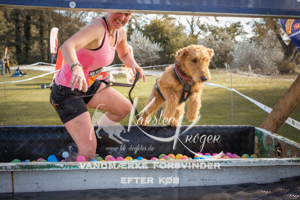 1308_ZZ99315-2 | kk-dogfotos