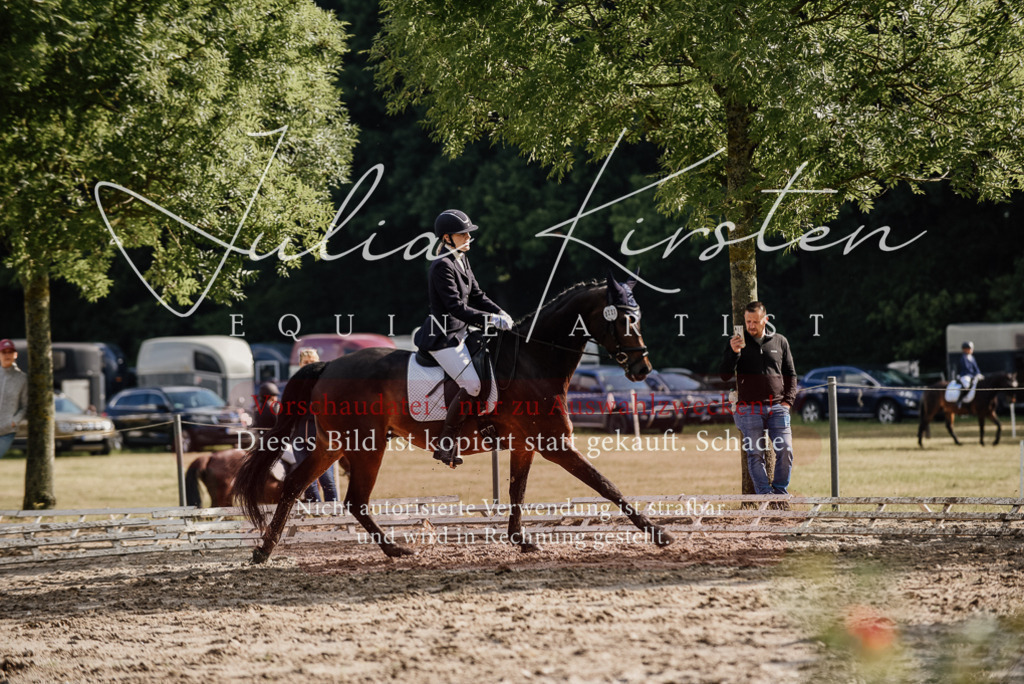 DSC_8770 | Pferde- und Turnierfotografie in Westsachsen. Pferdeportraits, Auftragszeichnungen und intuitive Kunst.