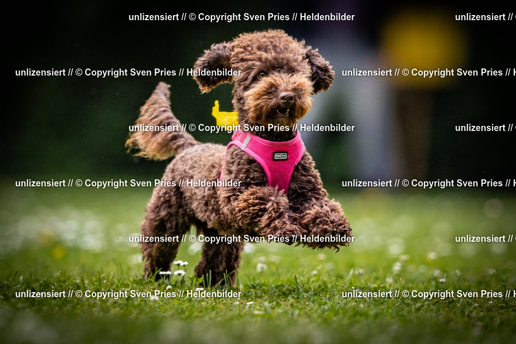 Sven Pries | 2025-05-29 - Pudelrennen KA-Durlach - Realisiert mit Pictrs.com