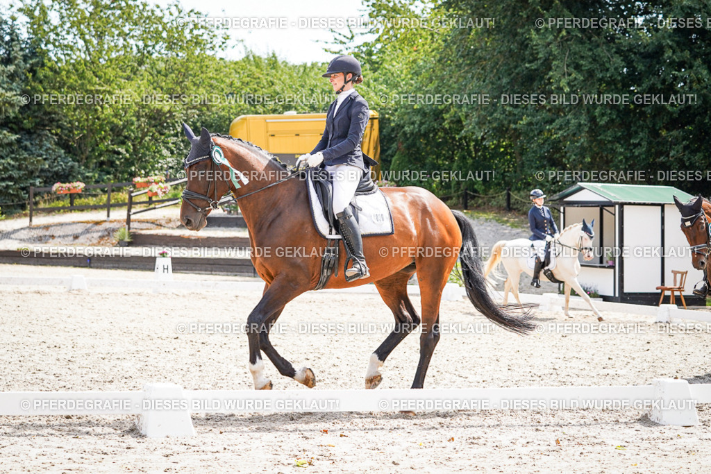 DSC02344 | Pferdegrafie