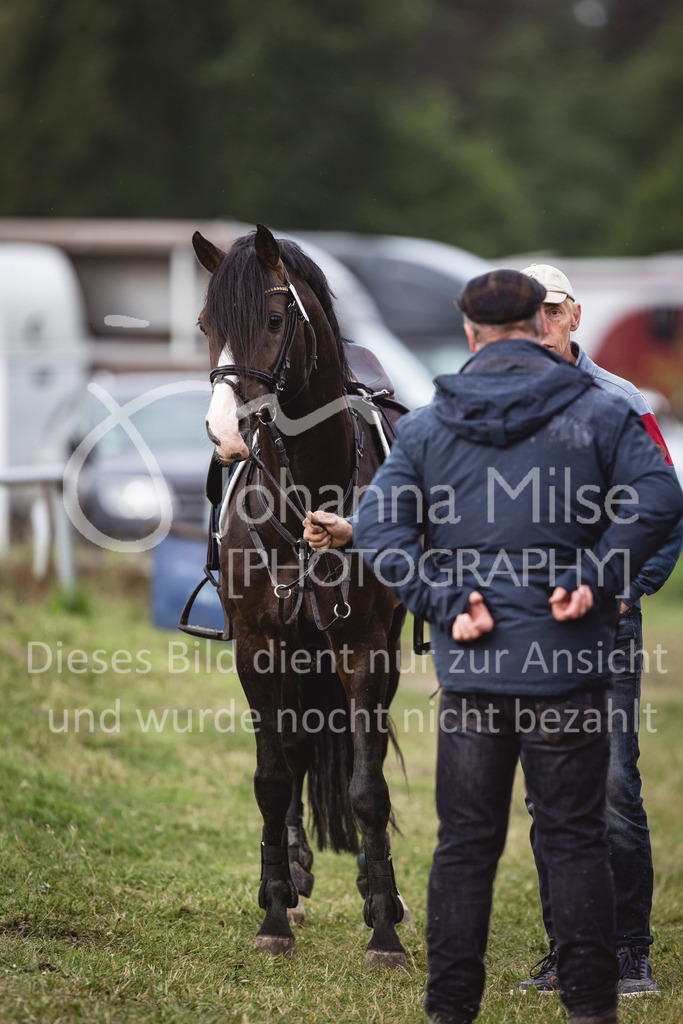 240615_CoesfeldLette_Stil-A-113 | Deine schönsten Turniermomente als professionelle Fotos! Entdecke hochwertige Pferdesport-Fotografie im Online-Shop. Jetzt Fotos finden & bestellen!