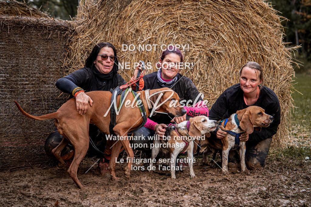 nelerasche_Hunsrück_So09-11_256 | nelerasche