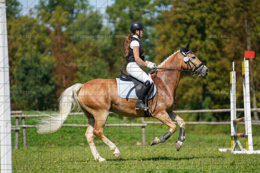 20230917-FAH09408 | Landsberg am Lech, 2023, Kaufbeuren, Kempten, Allgäu, Turnierfotografen Bayern, Fotoagentur Herrmann, Turnierbilder, Reitsport Fotos, Pferdefotograf, Augsburg, Bad Tölz, Dachau, Karlsfeld, Memmingen, Buchloe, Schwabmünchen