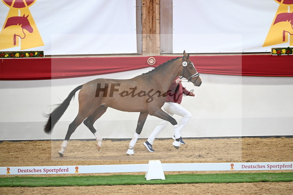 Kat.-Nr. 43 v. Benicio_Fleischmann_2250023 | hf-fotografie - Realisiert mit Pictrs.com