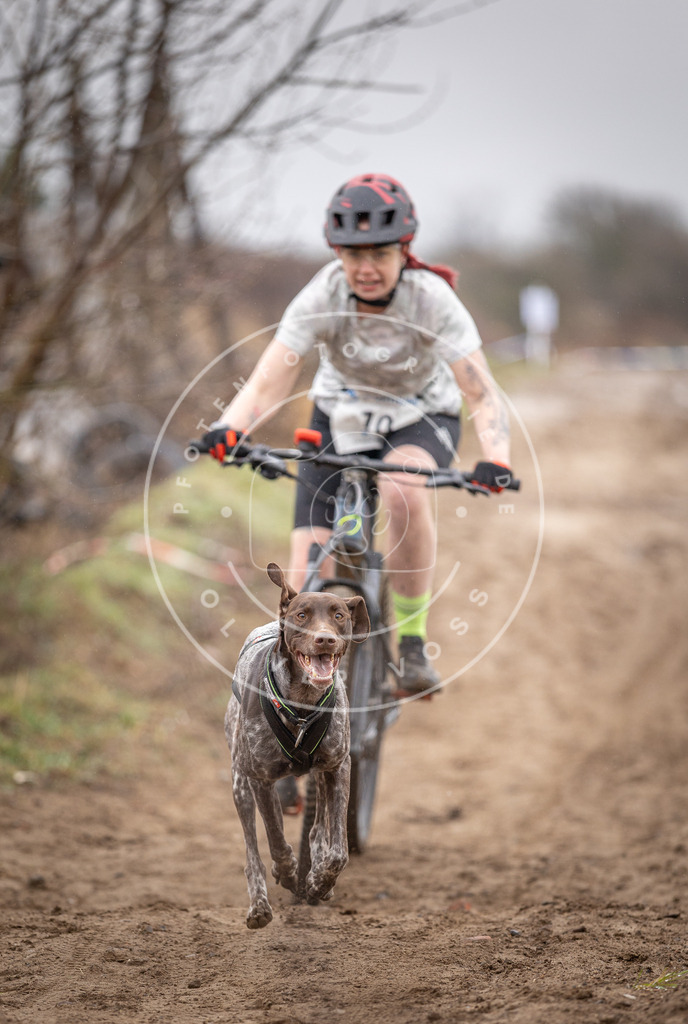 DV3A8923 | Hundefotografie, Tierfotograf, Pfotenfotografie, Fotoshooting Hund, Hunde Portrait, Hundesport, Hundeportraits, Heideshooting, Hunde, Sportfotograf, Hundefotograf, Turnierhundsport, THS,  - Realisiert mit Pictrs.com