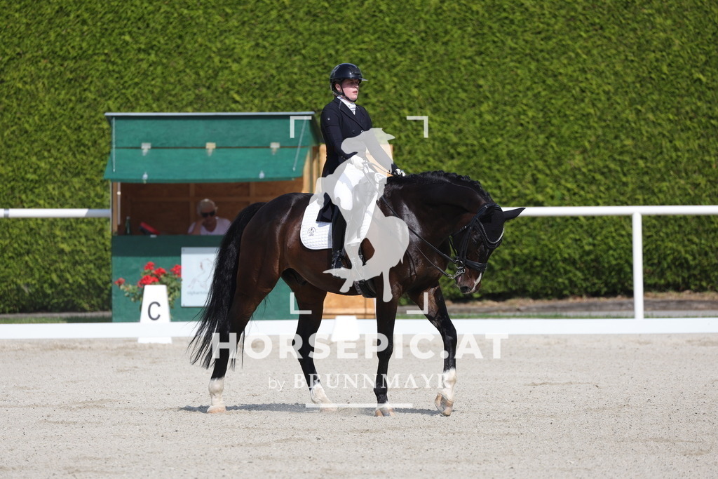 0P6A6729 | Willkommen bei Brunnmayr - Design & Fotografie – Ihrem Spezialisten für Reitturniere und Pferdeveranstaltungen in Oberösterreich, Salzburg und Bayern! Seit über 17 Jahren sind wir leidenschaftlich dabei.