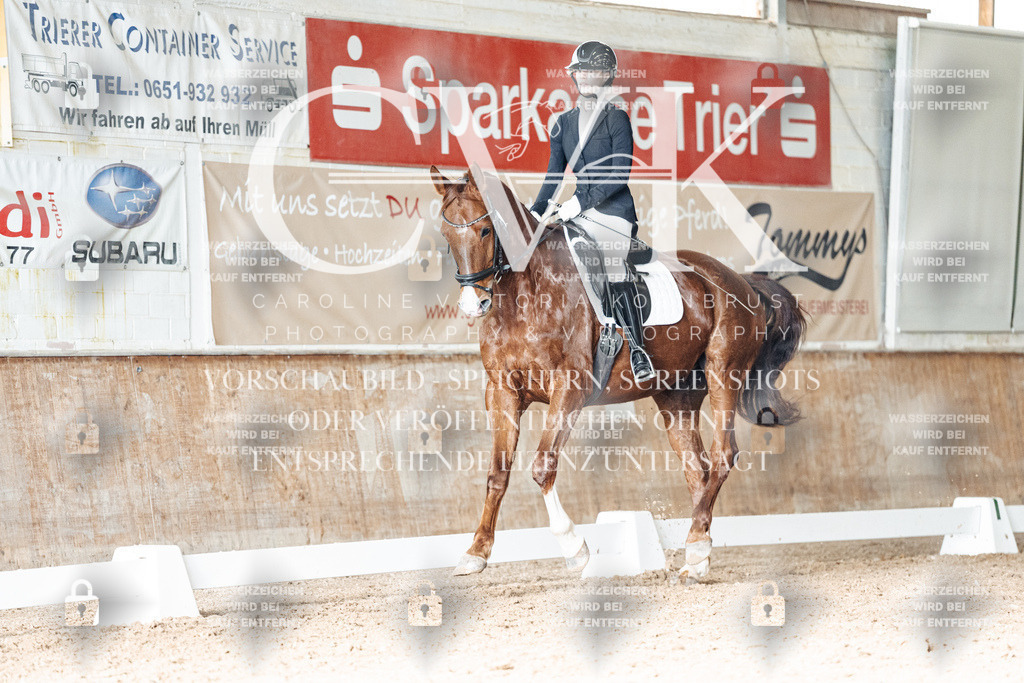 CK902445 | Turnierfotografie Pferdefotografie Trier Rheinland-Pfalz Pferdesport Reitsport Tierfotografie Sportfotografie Pferdevideo Pferdevideografie Equestrianvideography equestrianphotography  - Realisiert mit Pictrs.com