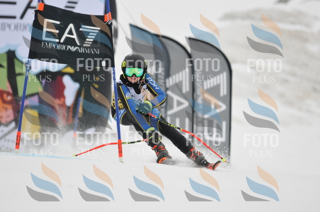 DSC_8535 | holidayphoto