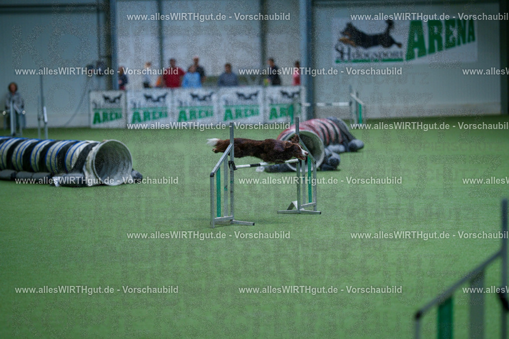 @allesWIRTHgut_Tierfotografie - www.allesWIRTHgut.de - 2604251049-7R500274 | Professionelle Tierfotografie in Mönchengladbach von Daniel Wirth (allesWIRTHgut). Liebevolle & natürliche Bilder von Hunden & Katzen für unvergessliche Erinnerungen.