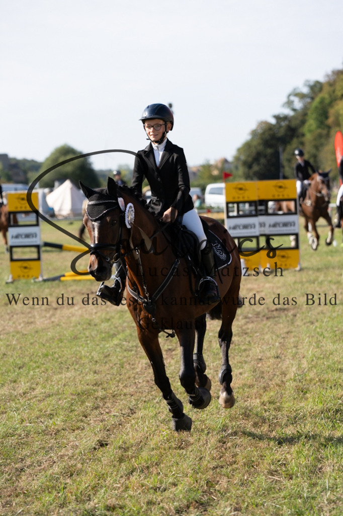 A7V08319 | Pferdefotograf