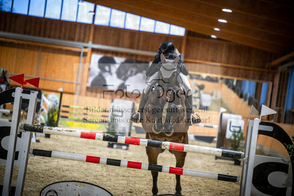 DOS_2744 | Entdecke hochwertige Reitturnierfotos von Foto Oger. Professionell, emotional und authentisch – jetzt Lieblingsmomente im Shop bestellen.Deutschlandweite Turnierfotografie. - Realisiert mit Pictrs.com