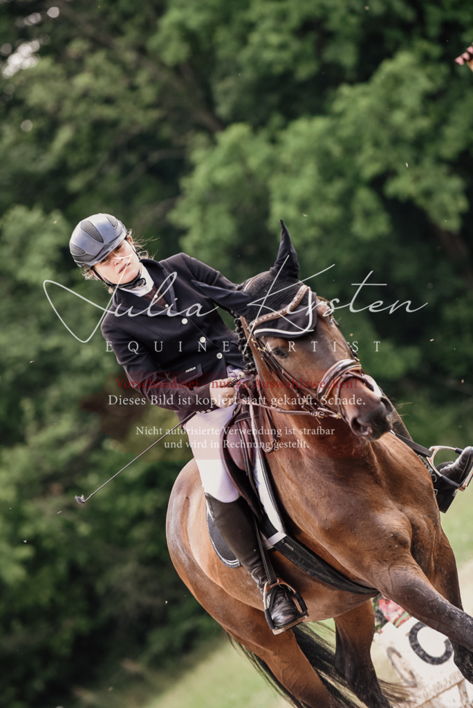 DSC_0763 | Pferde- und Turnierfotografie in Westsachsen. Pferdeportraits, Auftragszeichnungen und intuitive Kunst.