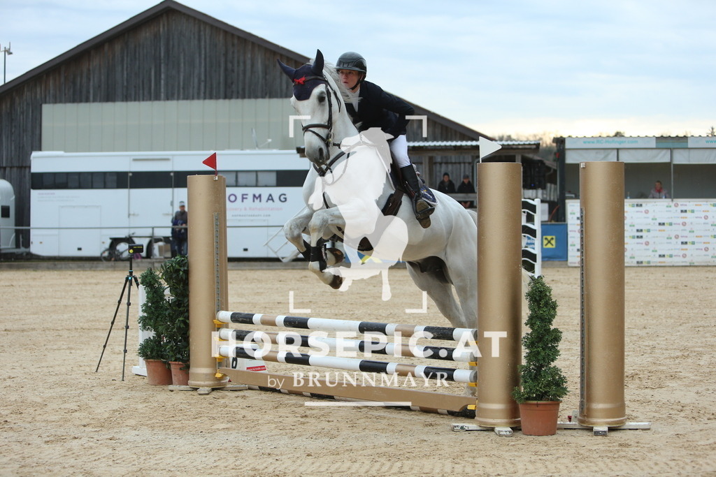 DL2Q1603 | Willkommen bei Brunnmayr - Design & Fotografie – Ihrem Spezialisten für Reitturniere und Pferdeveranstaltungen in Oberösterreich, Salzburg und Bayern! Seit über 17 Jahren sind wir leidenschaftlich dabei.