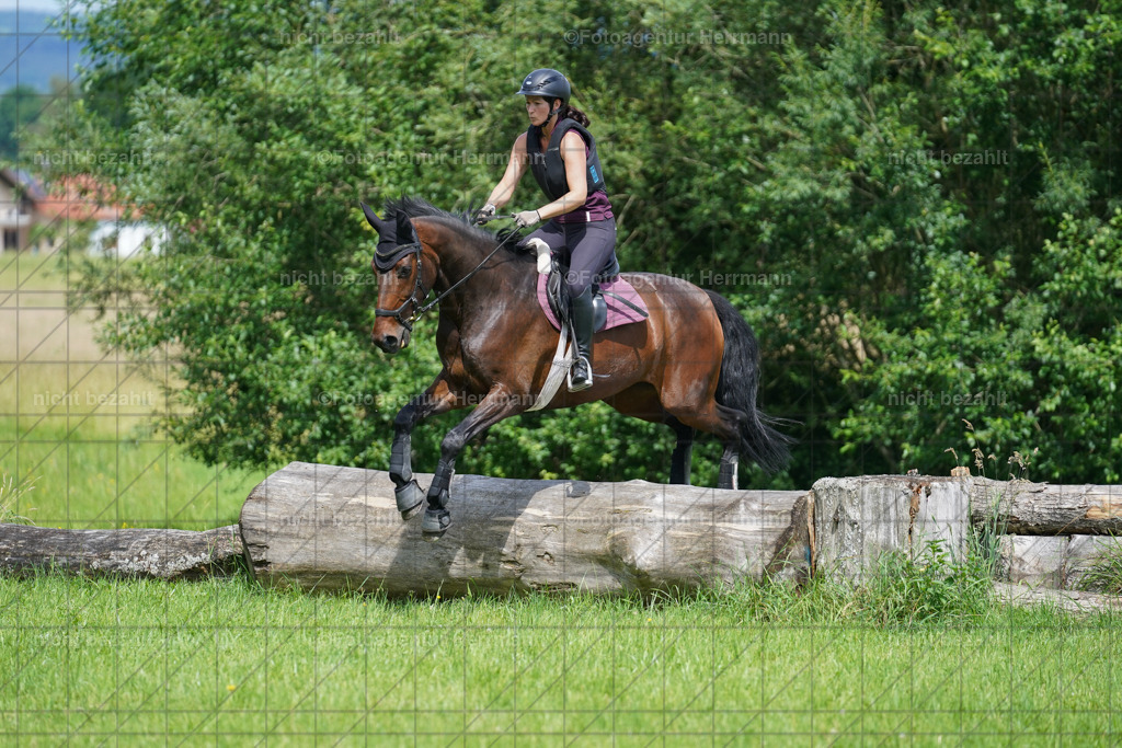 20240622-FAH07643 | Turnierfotografen Bayern, Reitsportbilder aus dem Geländekurs mit Felix Etzel auf dem Gut Waitzacker 2024