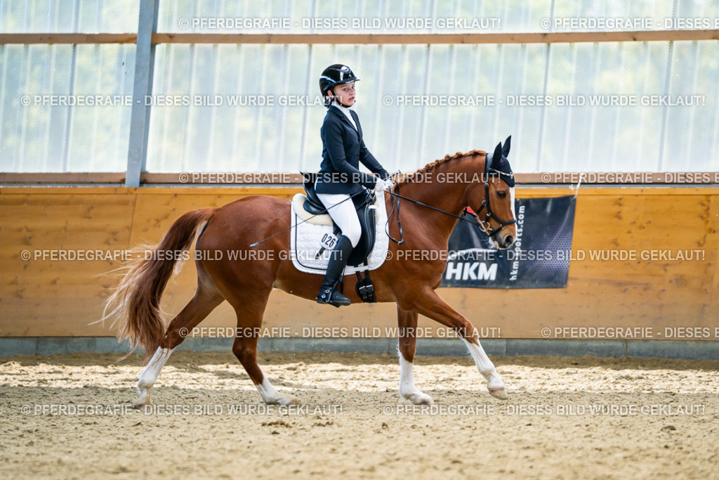 DSC05429 | Pferdegrafie