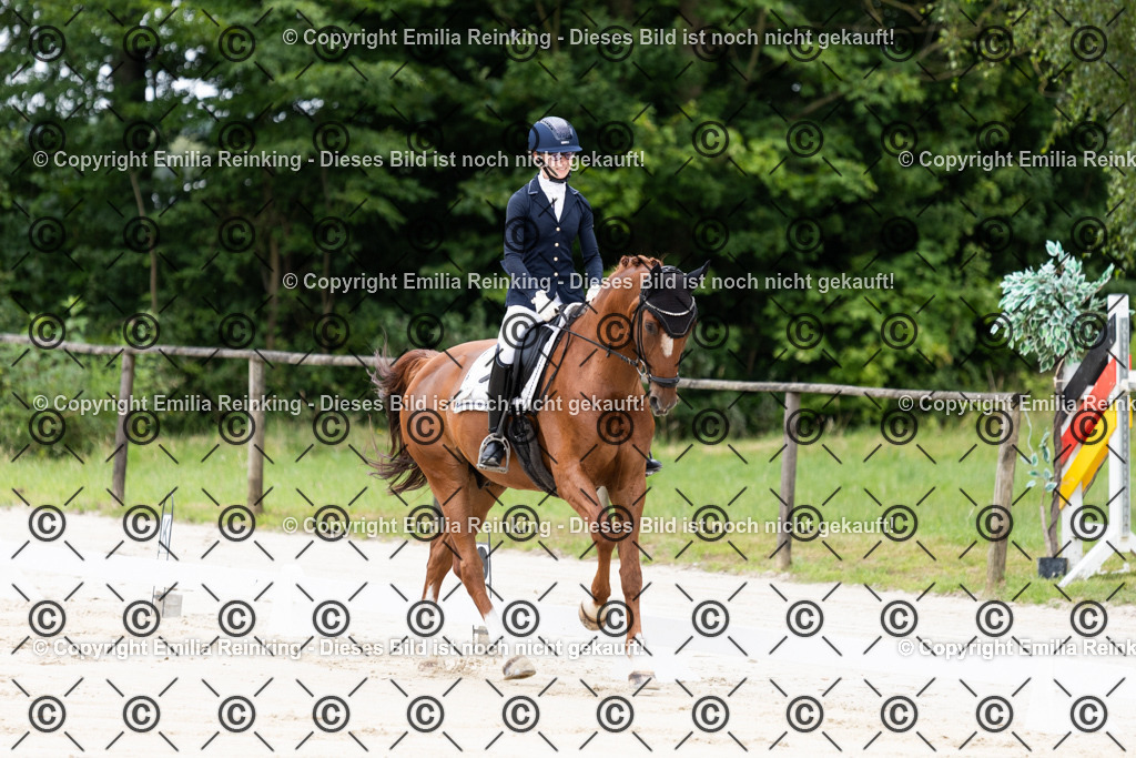 CL5A2838 | Emilia Reinking Fotografie - Realisiert mit Pictrs.com