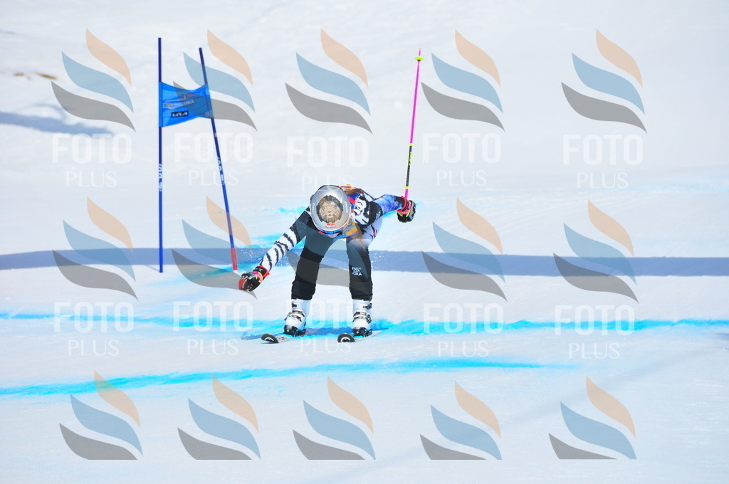 DSC_5317 | holidayphoto