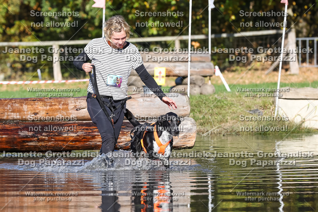 Dog Paparazzi - Strongdog 10-25-8975 | Dog Paparazzi Jeanette Grottendiek Fotografie & Videografie - Realisiert mit Pictrs.com